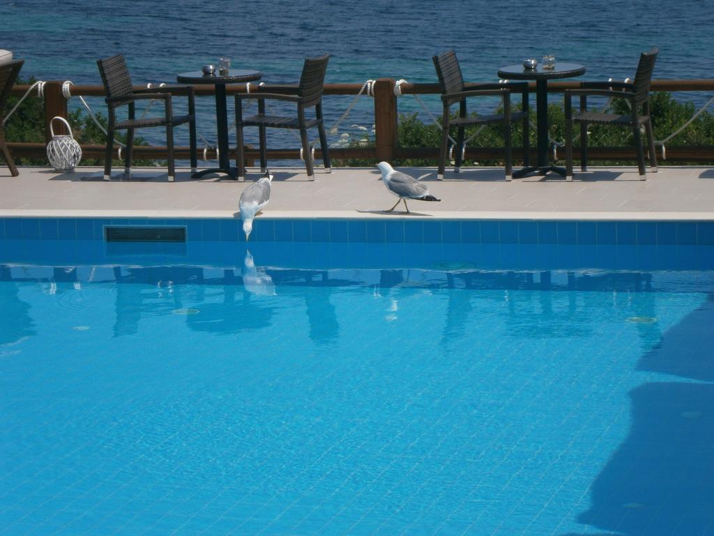 Apartament Barbagiannis House Ormos Panagias Pokój zdjęcie